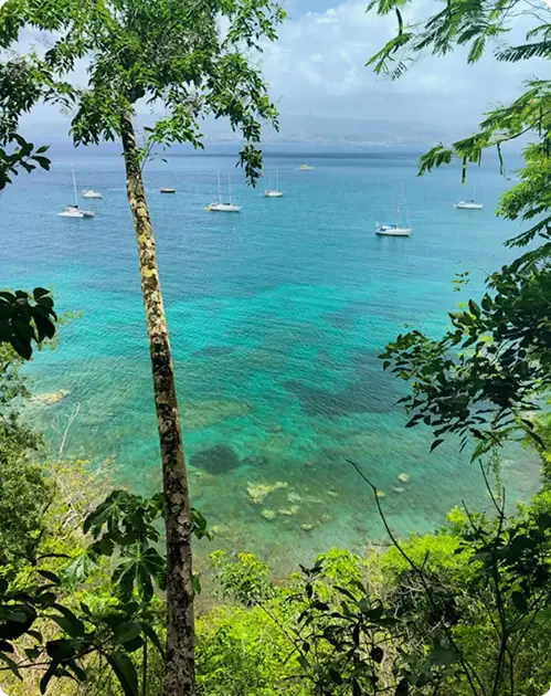 Martinique